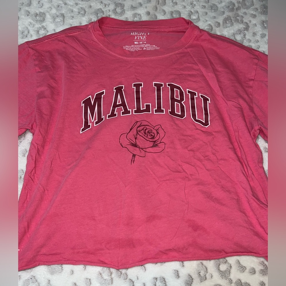 Cropped Pink Malibu Top